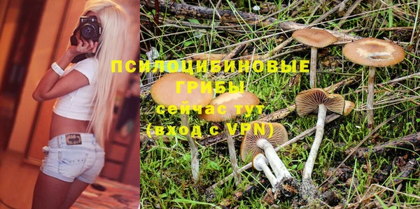 прущая мука Бородино