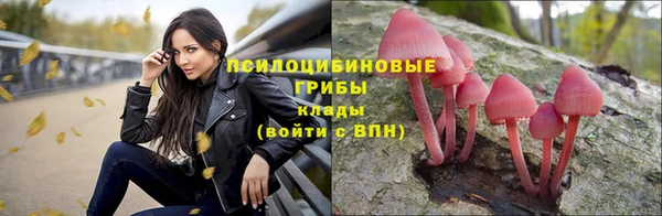 прущая мука Бородино